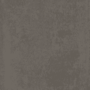 Everest Betonlook Graphite 60x120