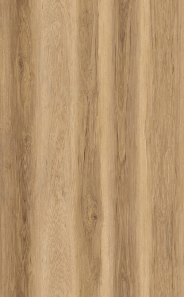 Limited Rigid Click XL - Eiken Naturel