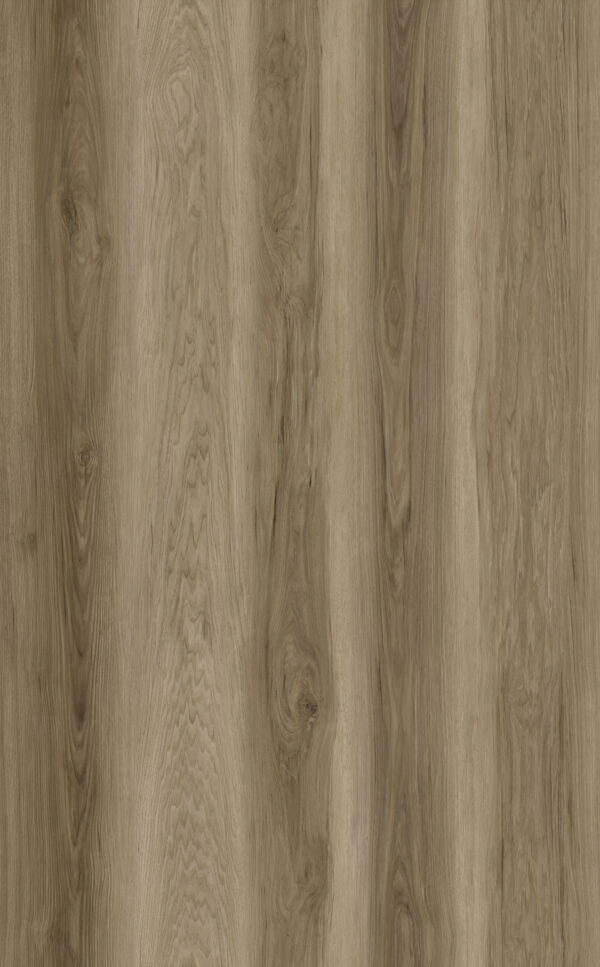 Limited Rigid Click XL - Eiken/Grijs