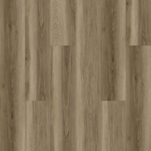 Limited Rigid Click XL - Eiken/Grijs - Afbeelding 3