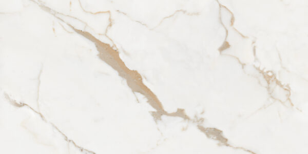 Calacatta Gold 60*120 glans
